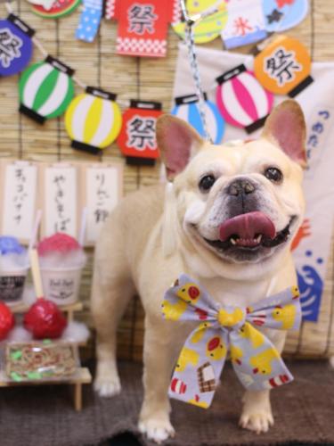 20240712こてつくん